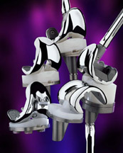 nexgen_knees